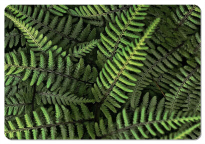 Podkładka - FERNS - 29 cm x 42 cm