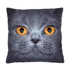 Poduszka - LEON - 40x40 cm