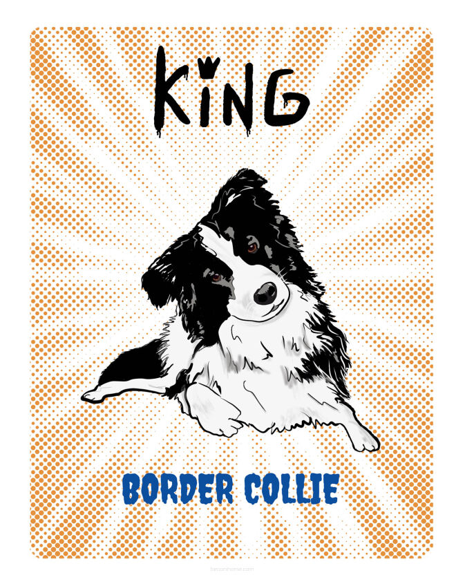 TABLICZKA KING BORDER COLLIE - 20x28 cm