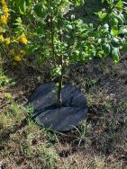 Krążek filcowy zabezpieczający przed chwastami ściółkowanie grafit fi 60 cm - 3