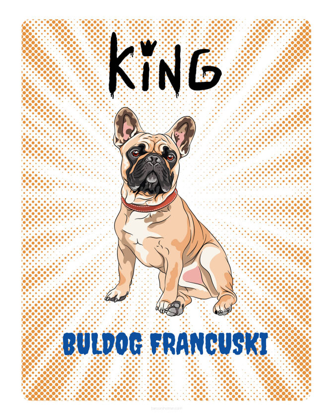 TABLICZKA KING BULLDOG FRANCUSKI - 20x28 cm