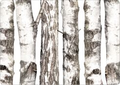 Podkładka prostokątna na stół 29×42 cm, wzór Brzozy – ekologiczny filc, pranie 40 °C, Bertoni