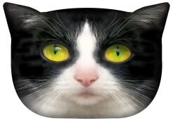 Poduszka dekoracyjna Bertoni „Kot Panda” 30×45 cm – welur, nadruk kota, wkład antyalergiczny