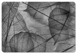 Podkładka prostokątna na stół 29×42 cm, wzór Fragile – ekologiczny filc, pranie 40 °C, Bertoni