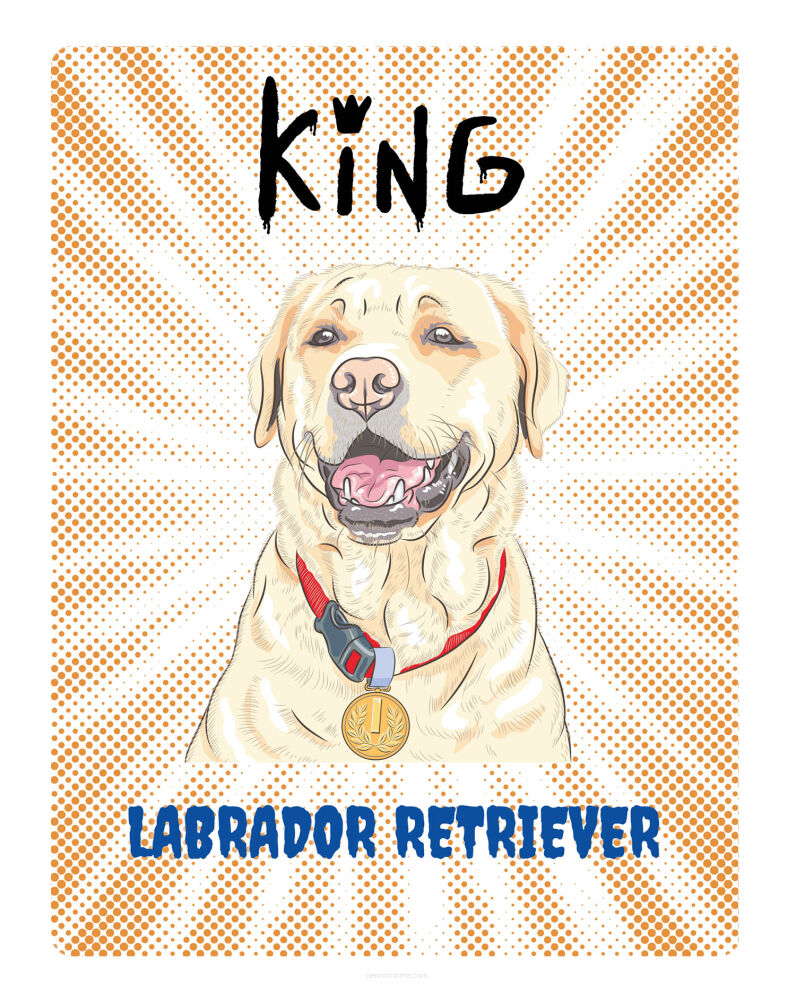 TABLICZKA KING LABRADOR RETRIVER 20x28 cm