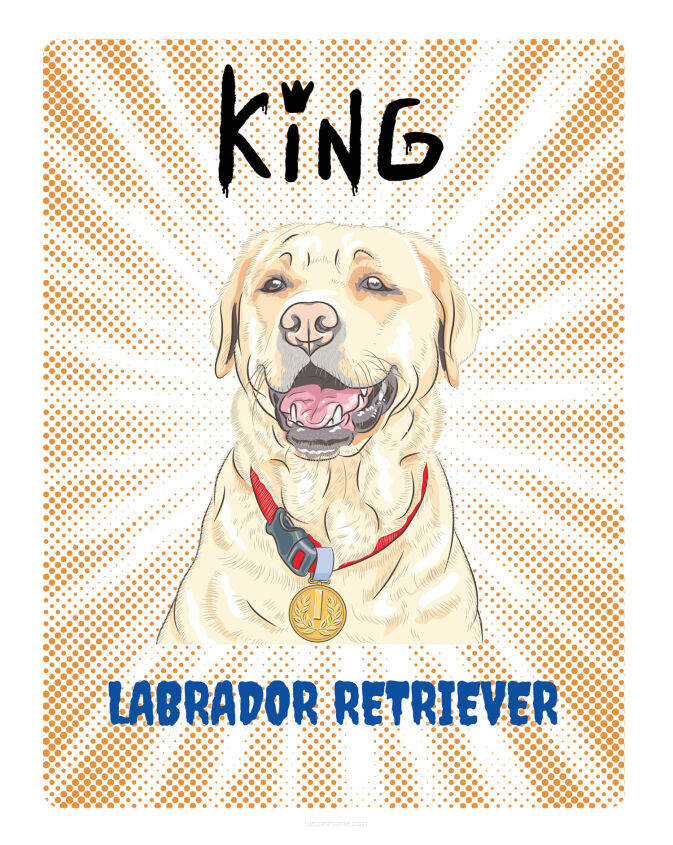 TABLICZKA KING LABRADOR RETRIVER - 20x28 cm