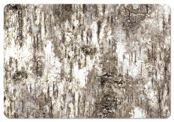Podkładka prostokątna na stół 29×42 cm, wzór Brzoza – ekologiczny filc, pranie 40 °C, Bertoni