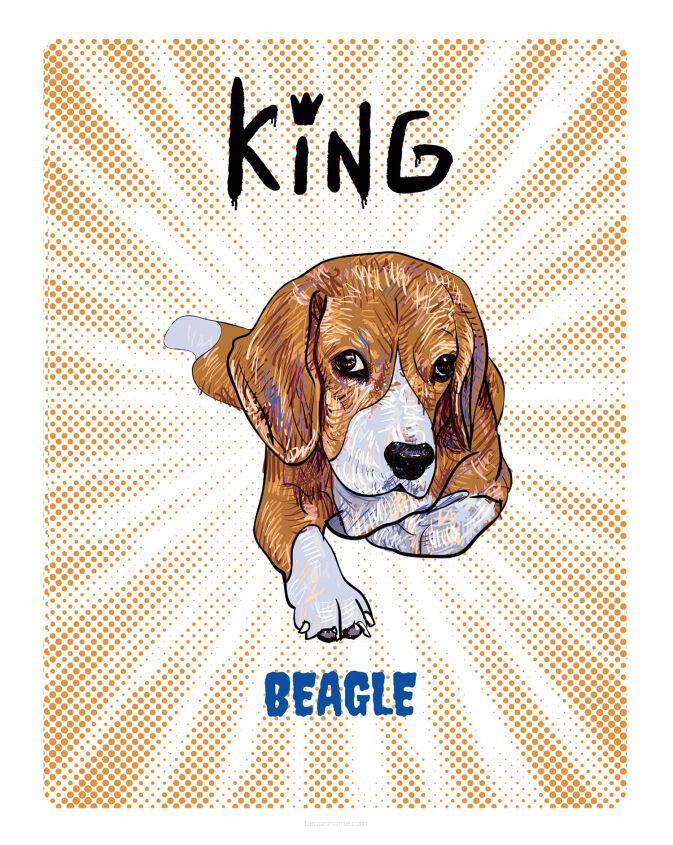 TABLICZKA KING BEAGLE YOUNG - 20x28 cm