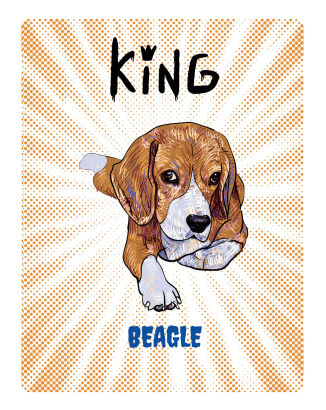 TABLICZKA KING BEAGLE YOUNG - 20x28 cm